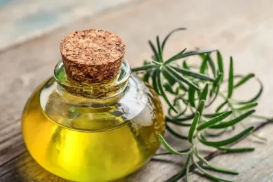 ¿Hasta cuándo se puede tomar caña con ruda después del 1° de agosto?