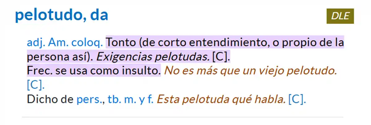 “Ahí lo tenés al p***”: la RAE incorporó el insulto más argentino a su diccionario