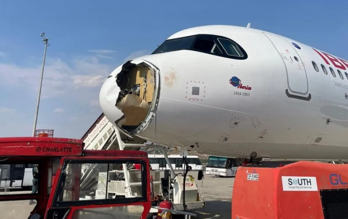Un avión chocó con un buitre en pleno vuelo, sufrió graves daños y debió aterrizar de emergencia en Madrid