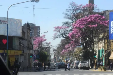 San Miguel de Tucumán florece antes de tiempo: los lapachos rosados ya pintan la ciudad de primavera