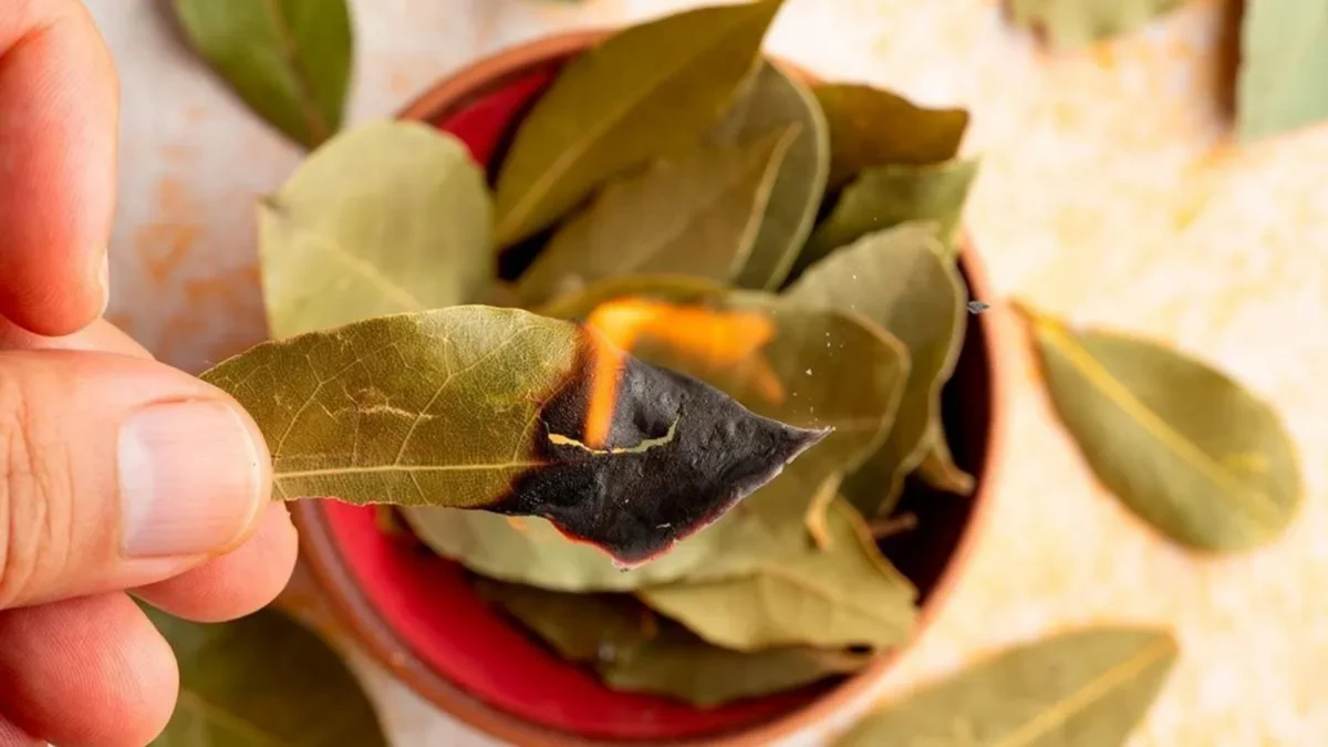 Cómo usar un objeto de cocina para atraer la abundancia en agosto, según el Feng Shui