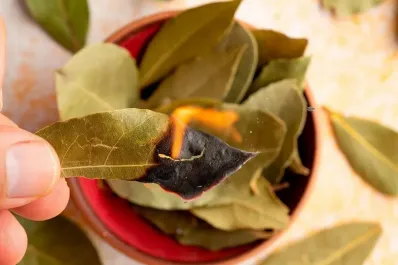 Cómo usar un objeto de cocina para atraer la abundancia en agosto, según el Feng Shui