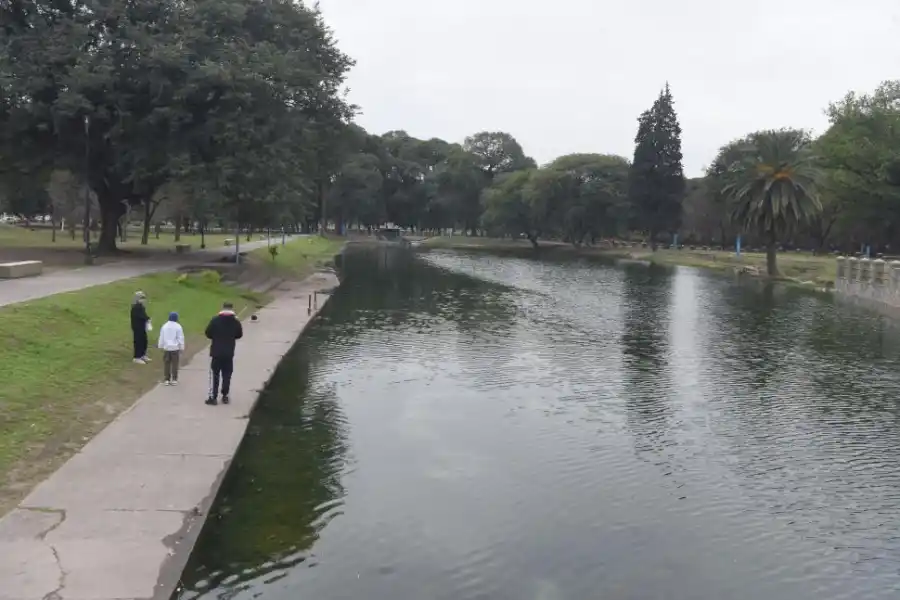 REGULADOR. Este espacio oxigena el ambiente y regula la temperatura.