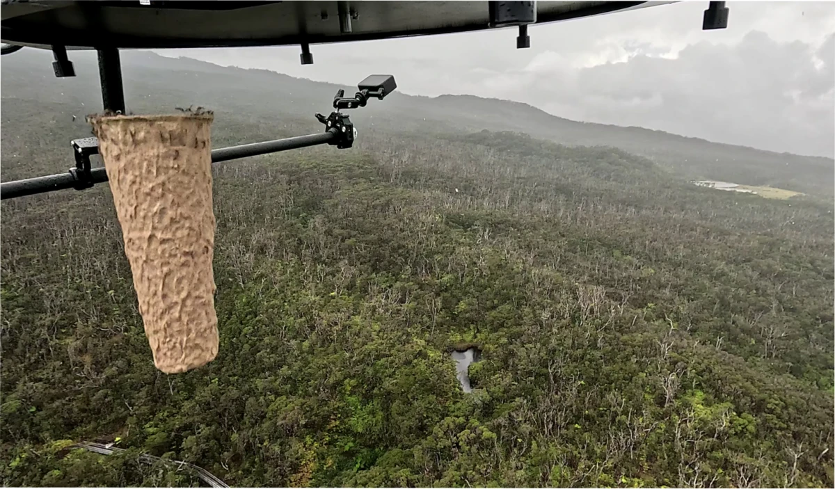 Una cápsula biodegradable que contiene alrededor de 1.000 mosquitos es lanzada desde un dron. Adam Knox/Conservación Americana de Aves/CNN