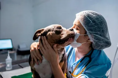Día del Veterinario: ¿por qué se celebra cada 6 de agosto en Argentina?