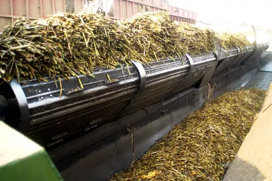 El azúcar y el complejo citrícola se destacaron en el crecimiento de las exportaciones agroindustriales del país