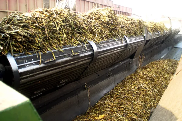 Zafra 2025: el sector azucarero asegura que se está cumpliendo con el cupo de bioetanol