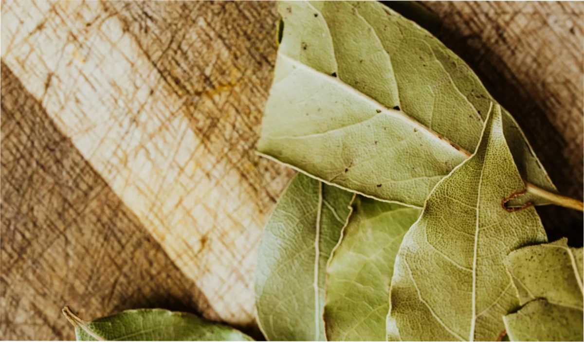 Un sencillo ritual para atraer la abundancia.