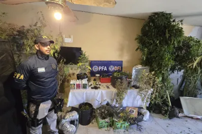 Descubrieron un punto de cultivo y venta de marihuana en la capital tucumana