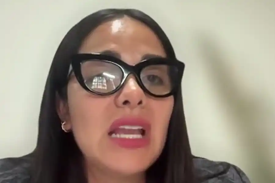 ¿Por qué condenaron a la mujer que hurtó el celular a Osvaldo Jaldo?