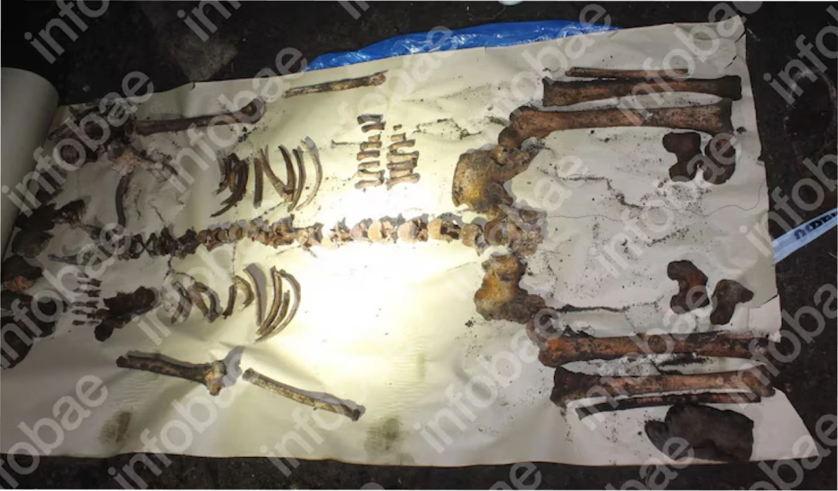 Los restos óseos hallados en el patio lindero al de Gustavo Cerati.