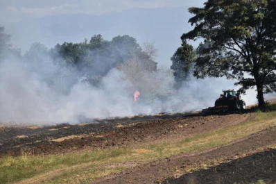 “Las primeras 48 horas tras la quema son clave en cuanto al deterioro”
