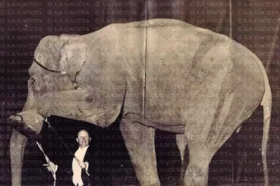 Recuerdos fotográficos: 1916. Ernestina, la elefanta coqueta del Zoo tucumano
