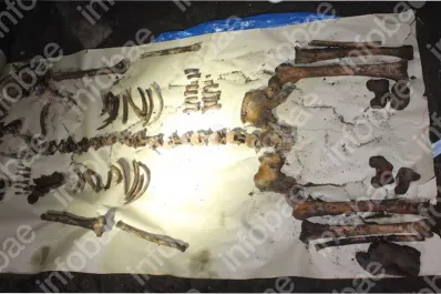 Los macabros detalles que reveló el análisis forense del cadáver encontrado junto al chalet de Cerati