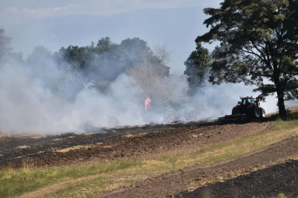“Las primeras 48 horas tras la quema son clave en cuanto al deterioro”