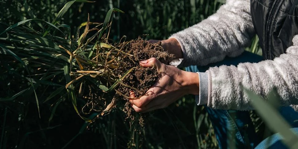 NORMA. La certificación “Ambiente Regenerativo Certificado”, de Aapresid, está construida sobre tres pilares: el productivo, el ambiental y el social.