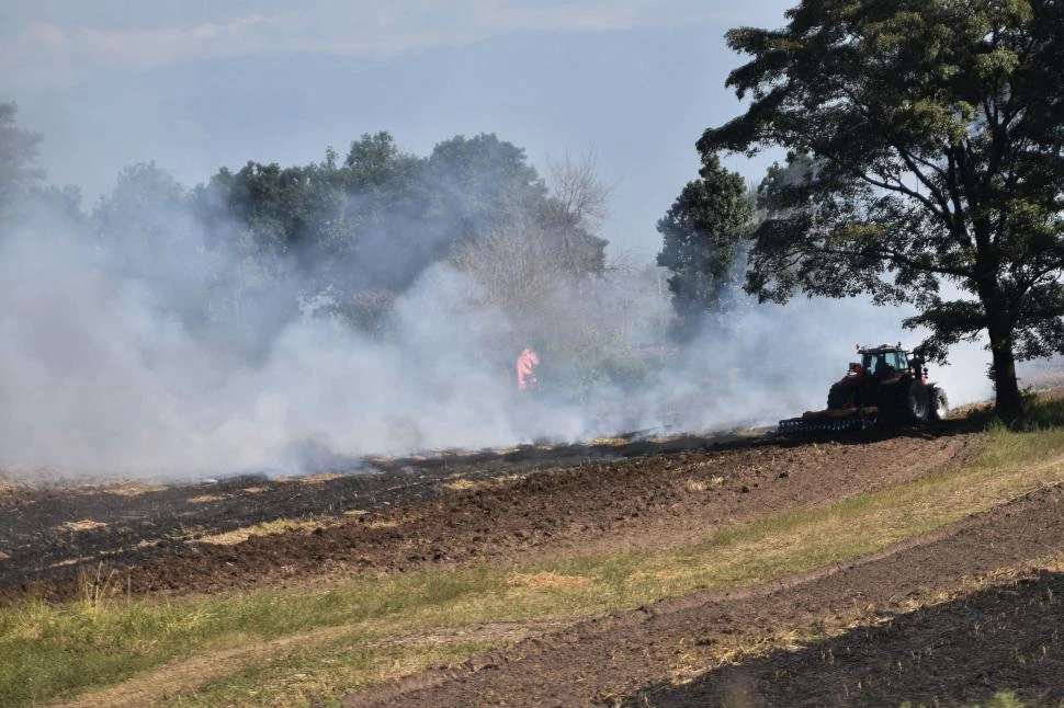 “Las primeras 48 horas tras la quema son clave en cuanto al deterioro”