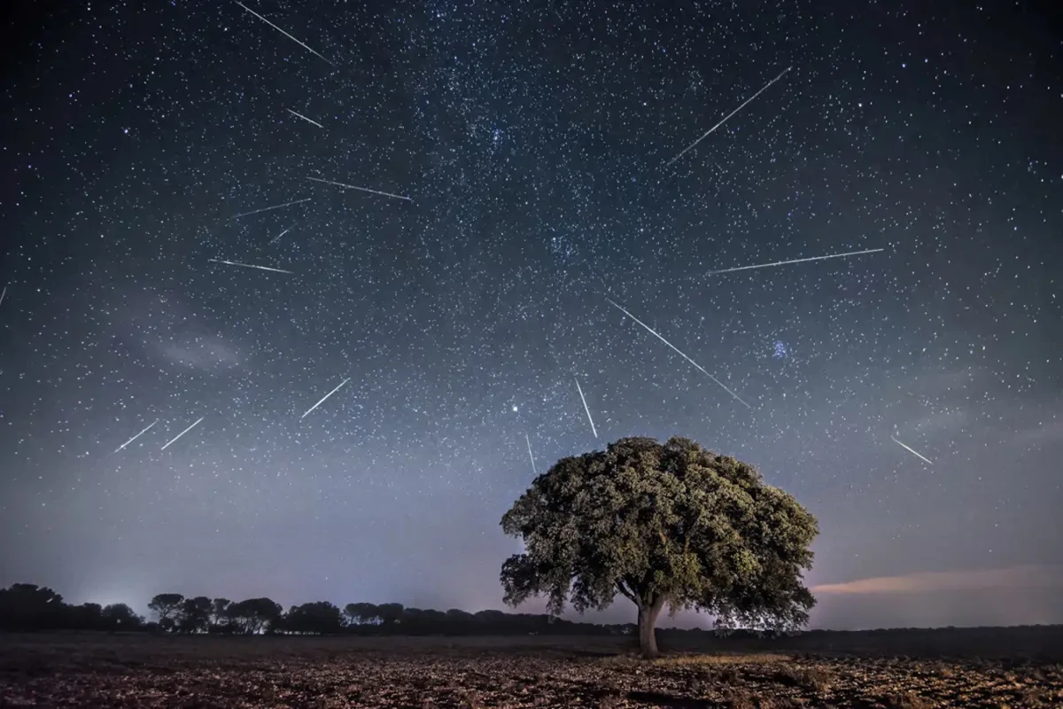 La lluvia de estrellas Perseidas se podrá ver desde Chile