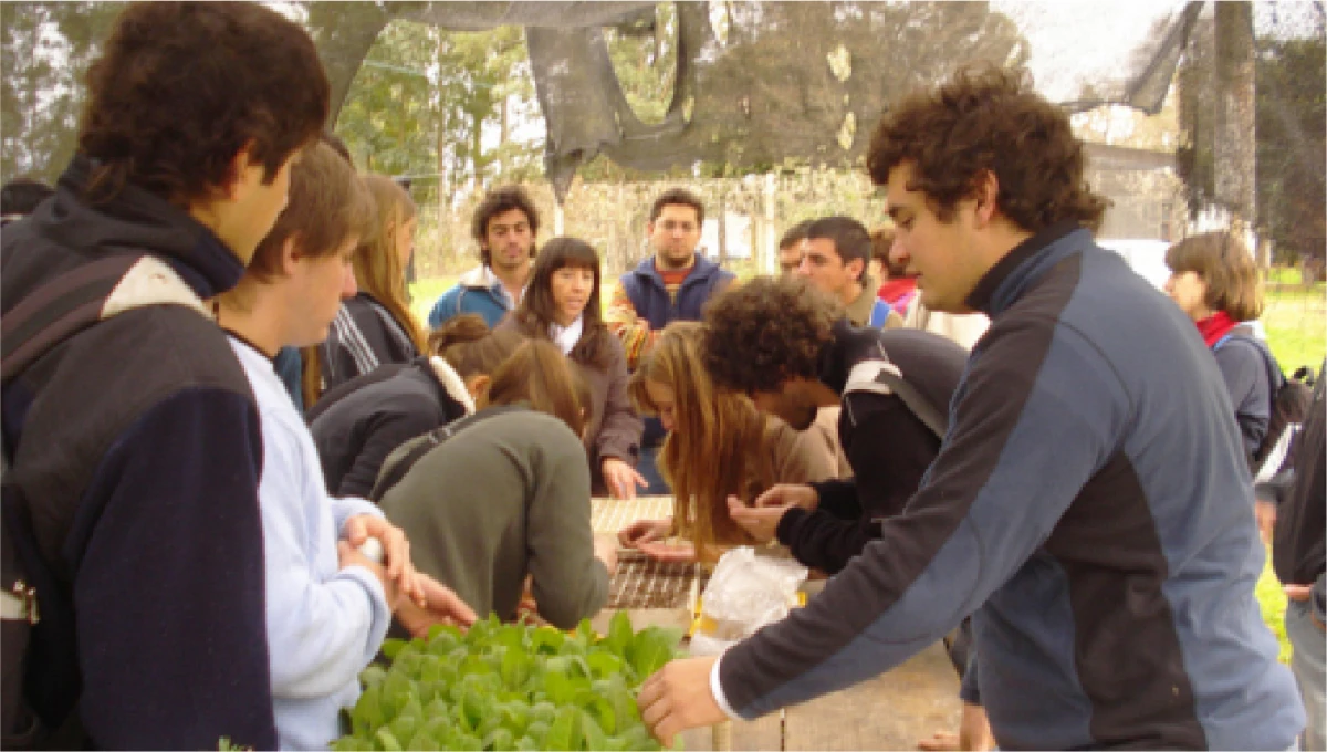 EDUCACIÓN UNIVERSITARIA. La Facultad de Agronomía y Zootecnia de la UNT habilitó las inscripciones para su Curso de Nivelación 2025/2026, requisito previo para ingresar a Ingeniería Agronómica e Ingeniería Zootecnista.
