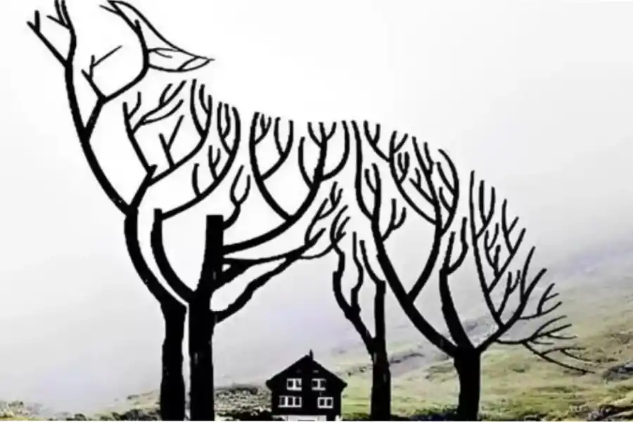 ¿Qué es lo primero que ves en la imagen?