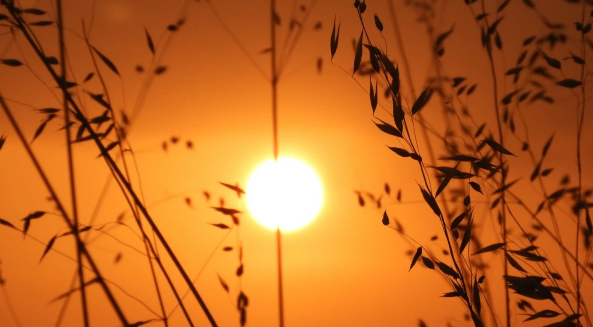 Muere otra persona por trabajar al sol con más de 40 grados en plena ola de calor