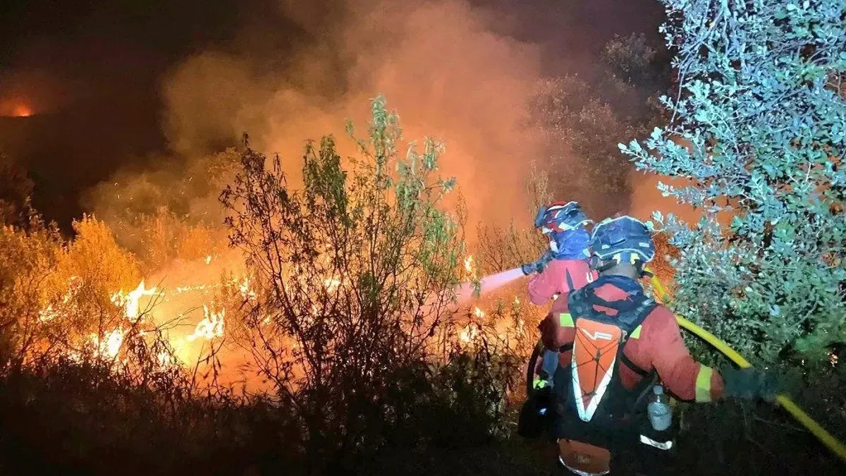 Incendio forestal en España: un hombre murió intentando salvar caballos, en Tres Cantos