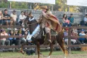 De todo el país al hipódromo: 382 caballos peruanos competirán por la gloria