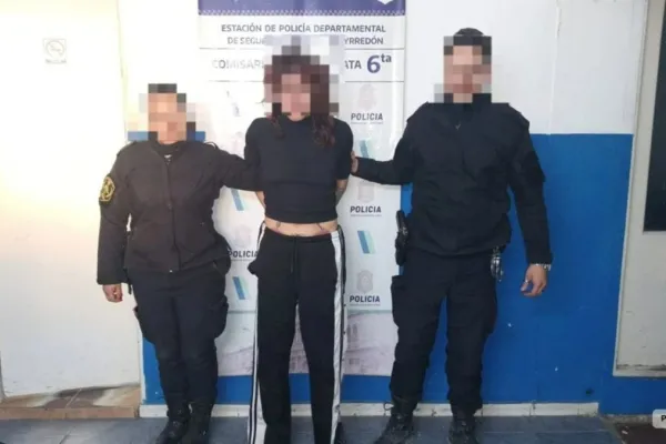 Mar del Plata: detienen a una mujer por apuñalar al perro de su vecina que había atacado a su caniche