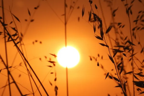 Muere otra persona por trabajar al sol con más de 40 grados en plena ola de calor