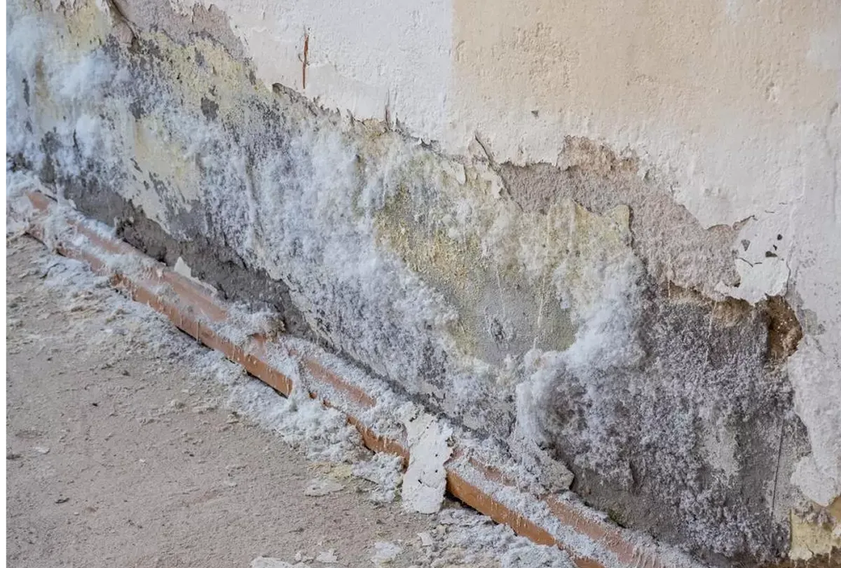 El truco casero para eliminar la humedad de las paredes con un solo ingrediente