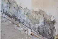 El truco casero para eliminar la humedad de las paredes con un solo ingrediente