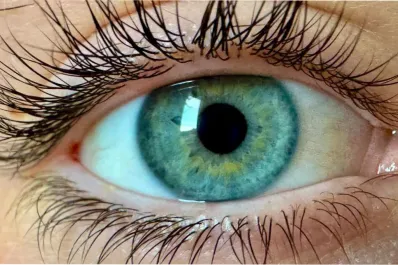 ¿Lo reconocés?: “Olo”, el misterioso color que solo cinco personas en el mundo pudieron ver