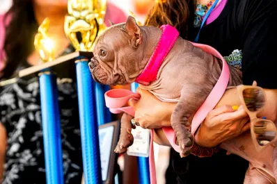 La emotiva historia de Petunia, la campeona del concurso El Perro Más Feo del Mundo