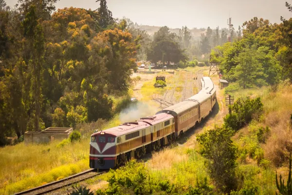 El Tren del Recuerdo cambia el recorrido a Valparaíso: ¿cuáles son los nuevos destinos?