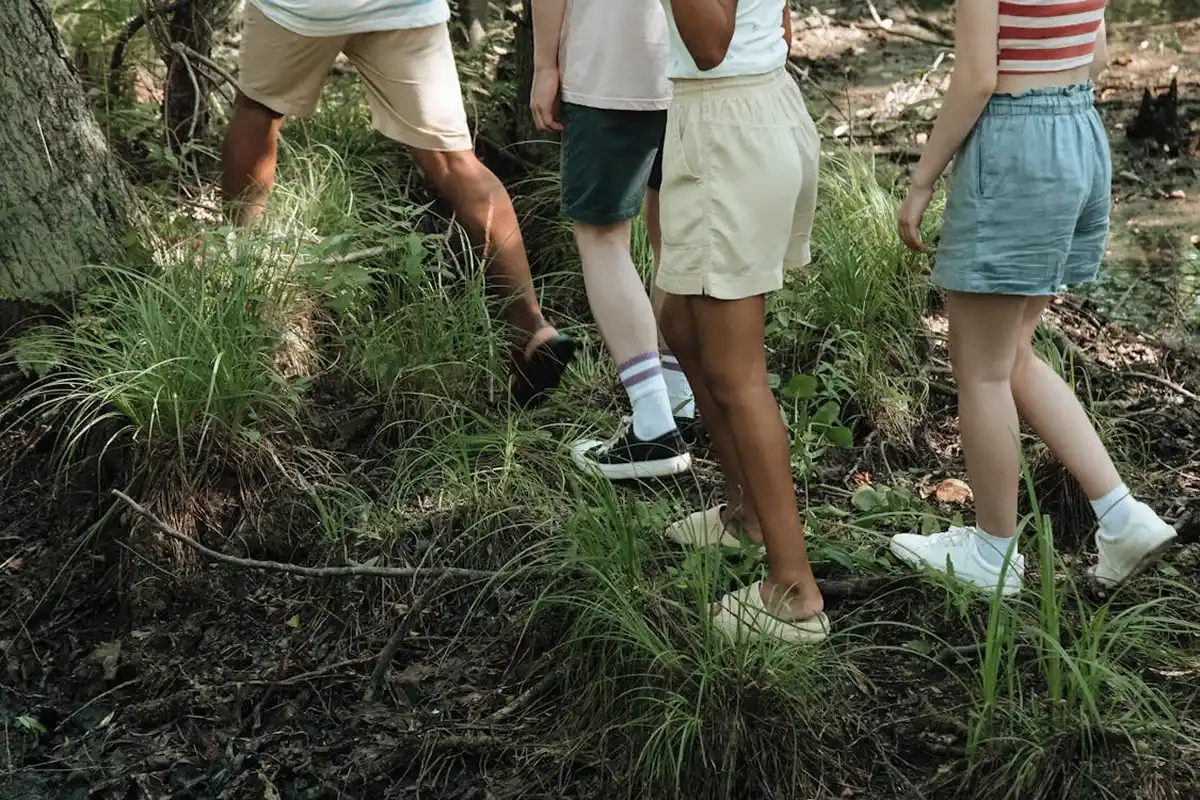 EN LA NATURALEZA. Un paseo breve por parques urbanos mejora la salud mental. / PEXELS