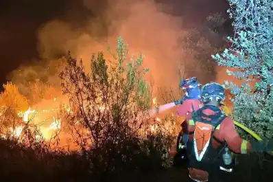 Ayuso anuncia nuevas ayudas para los afectados por los incendios en la Comunidad de Madrid