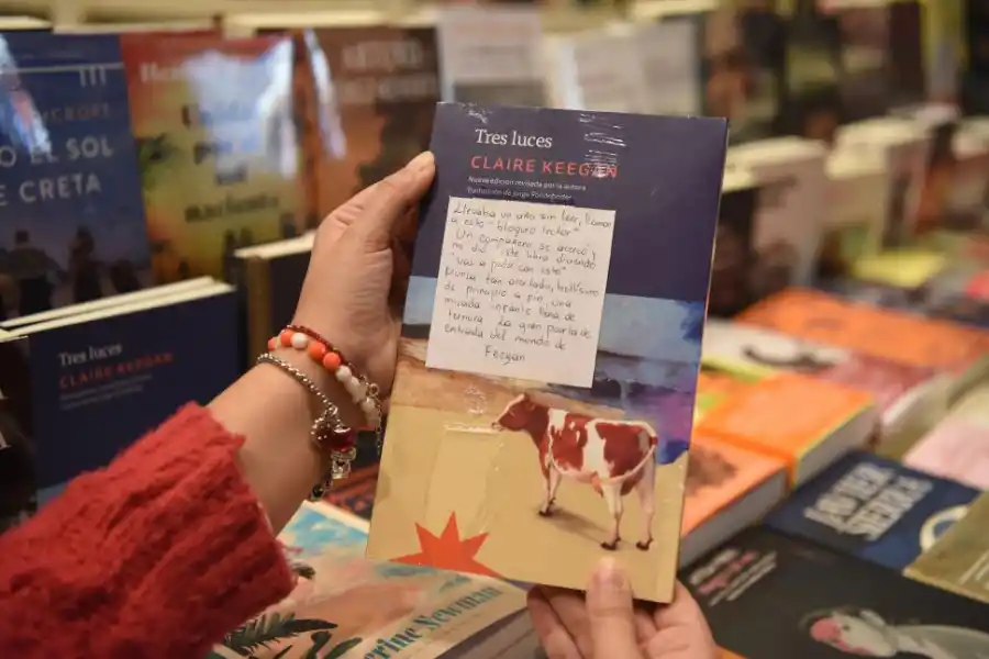 LUCES. Un lector que llevaba un año sin leer recomienda encender las ganas con este libro de Claire Keegan.