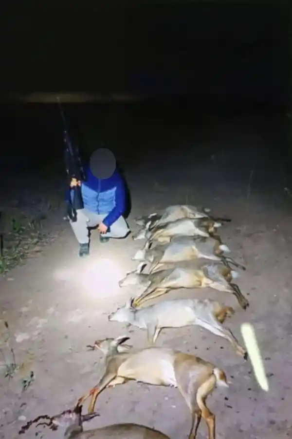 EL ÚLTIMO CASO. El furtivo posando con siete corzuelas hembras.