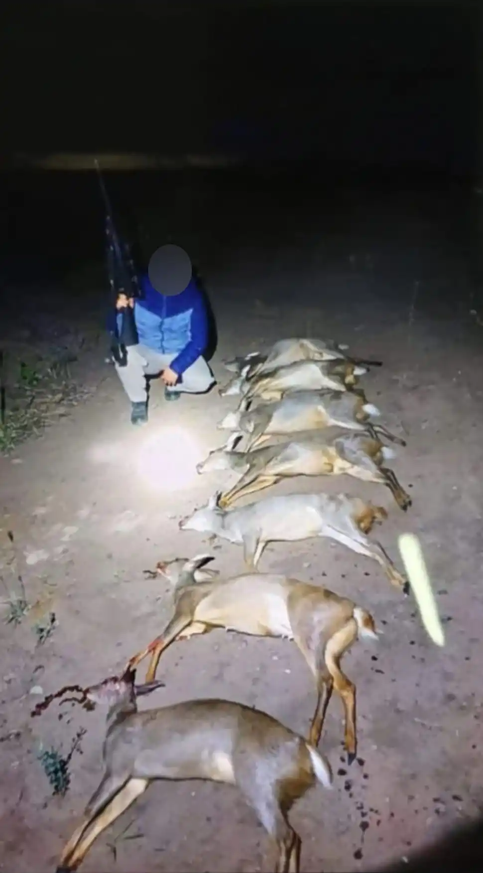 EL ÚLTIMO CASO. El furtivo posando con siete corzuelas hembras.