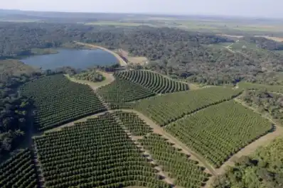 El rol de los ingenieros para el agro