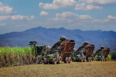 Empresa sucroalcoholera accedió a un préstamo internacional para potenciar exportaciones