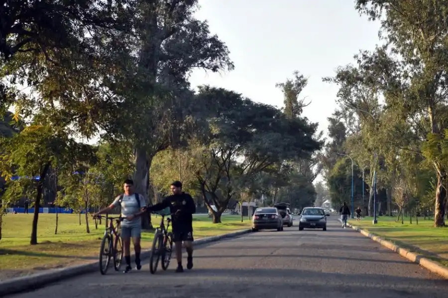 LAS AVENIDAS. Tienen intenso tránsito de todo tipo de vehículos.