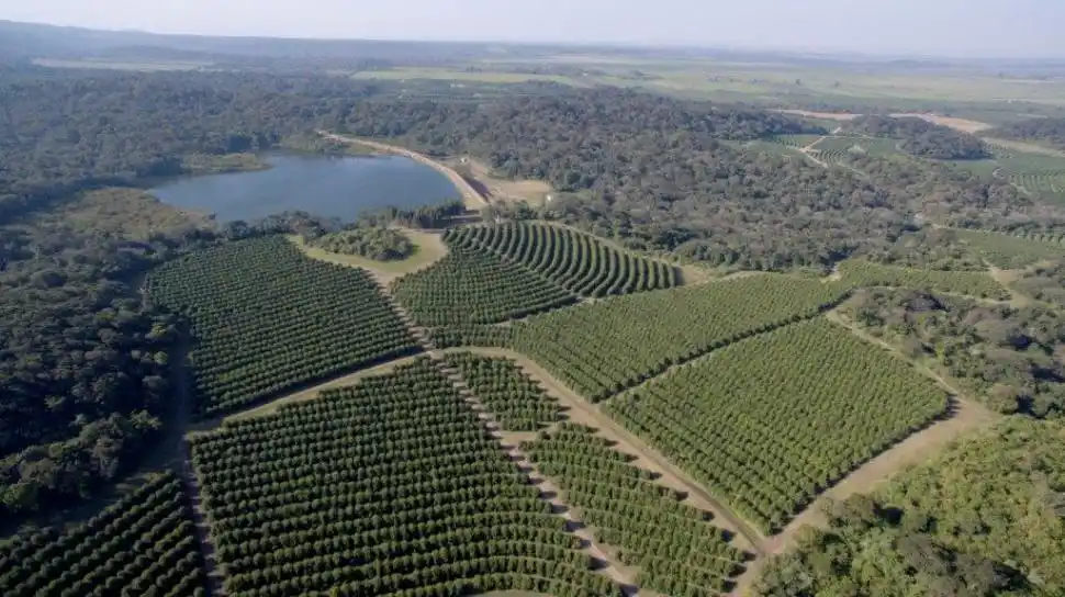 LEYENDA. dfasdf asdfasdas fasdf asdf asdfasdfasdfasdfasdfa sdfasdfafa credito