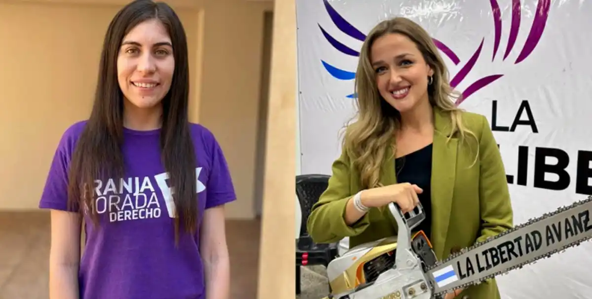 RENOVACIÓN POLÍTICA. Milagros Céliz y Celina Moisá: con 30 y 31 años, son las más jóvenes de esta competencia electoral. / LA GACETA