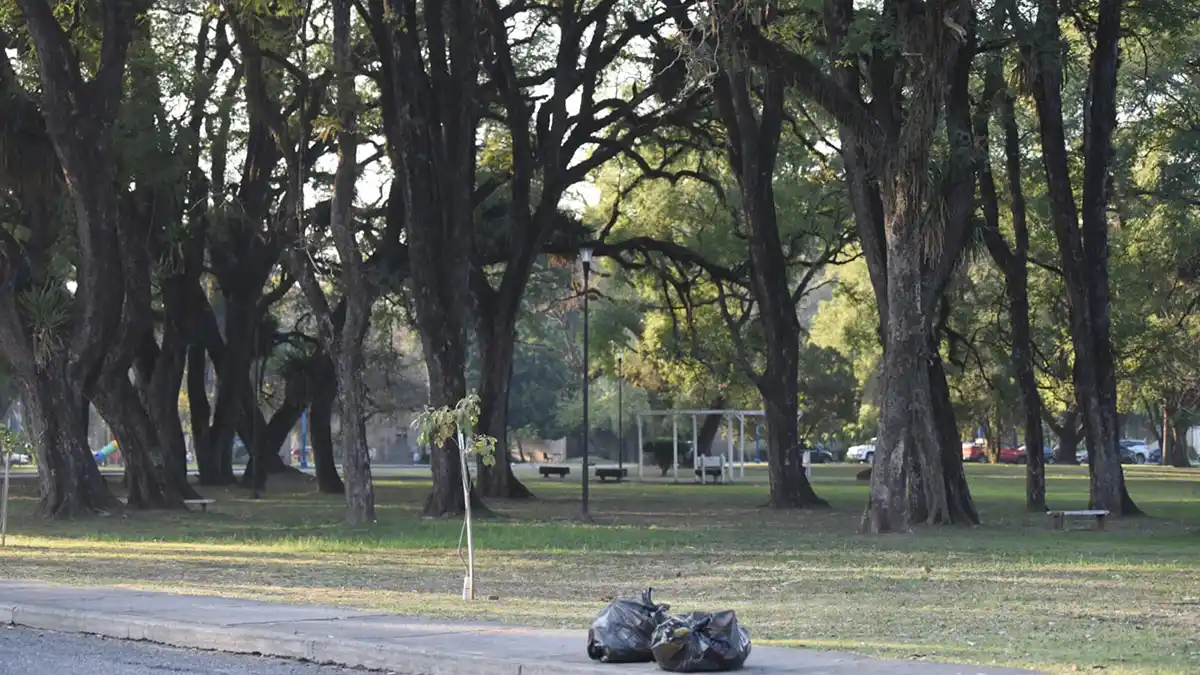 Limpieza en el Parque 9 de Julio. FOTO ANALÍA JARAMILLO. LA GACETA