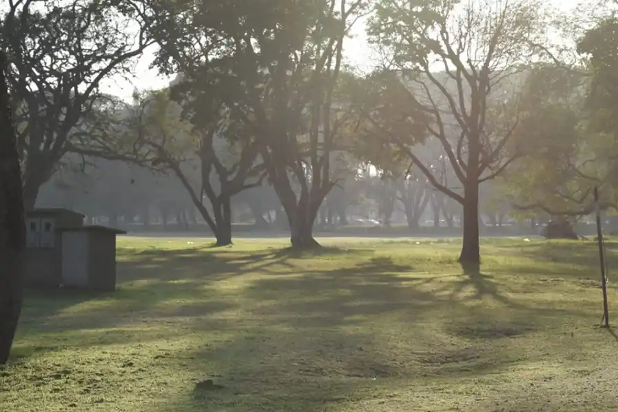 Limpieza en el Parque 9 de Julio. FOTO ANALÍA JARAMILLO. LA GACETA
