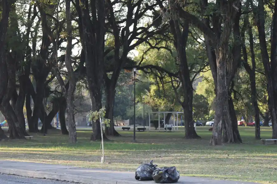 Limpieza en el Parque 9 de Julio. FOTO ANALÍA JARAMILLO. LA GACETA
