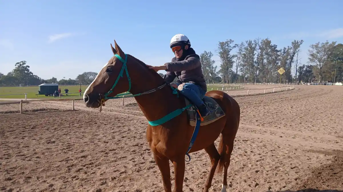 CONFIANZA. El jinete José Alfredo Vizcarra montará por primera vez al porteño He’s A Rockstar.