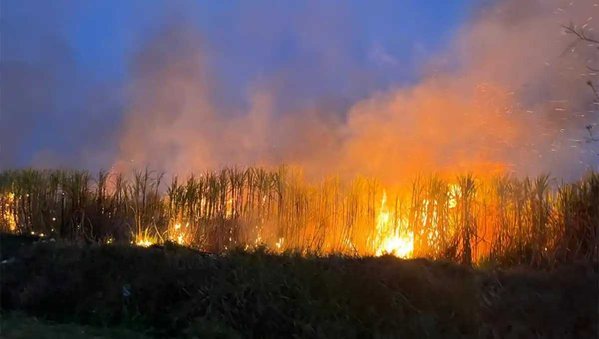 EN LLAMAS. Uno de los incendios se registró en la localidad de Ingenio Leales.