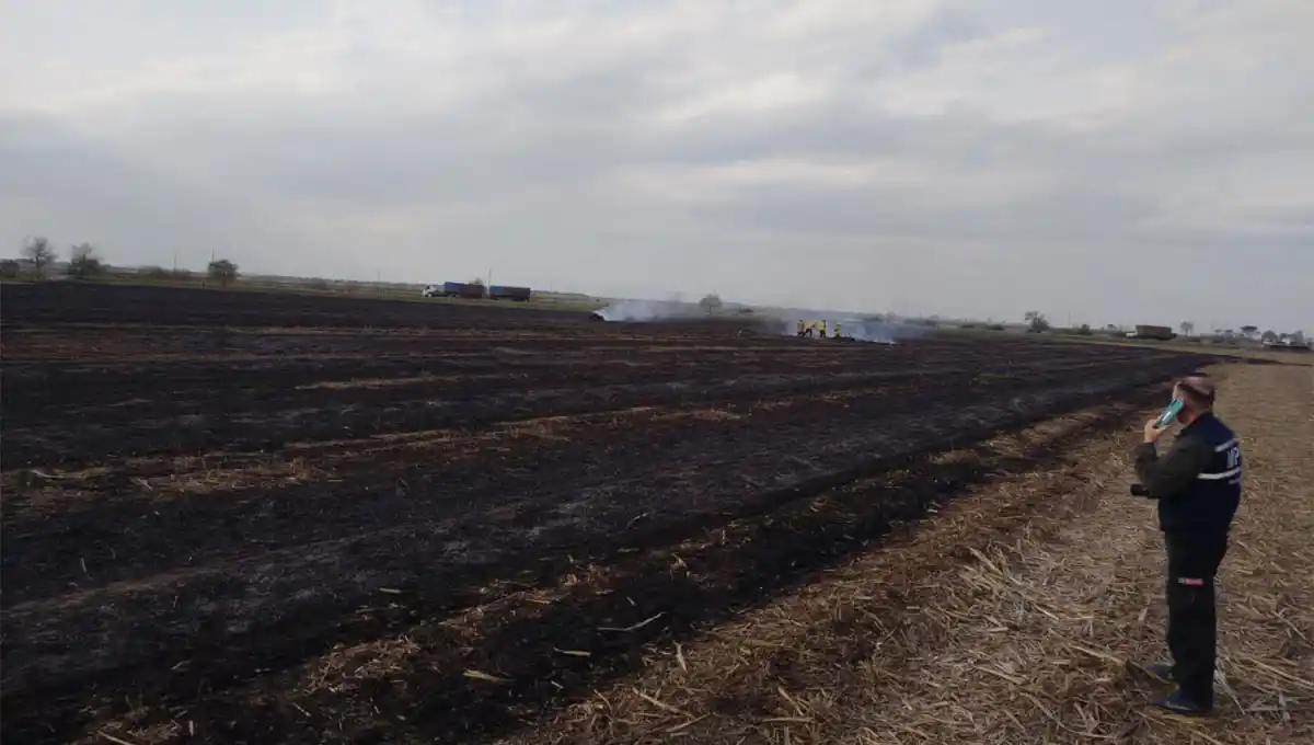 Incendio de cañavelares en Agua Dulce.